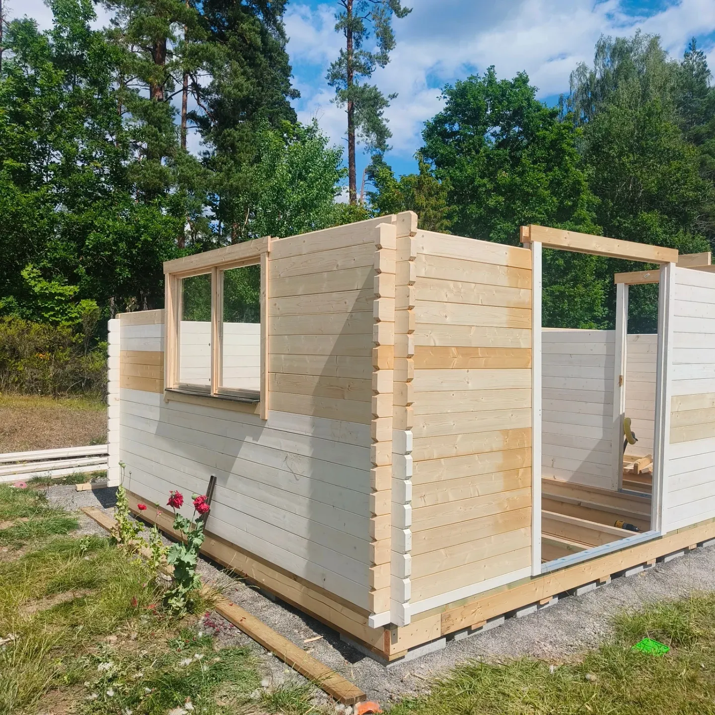 Hörnknut på timmerbyggnad under uppförande